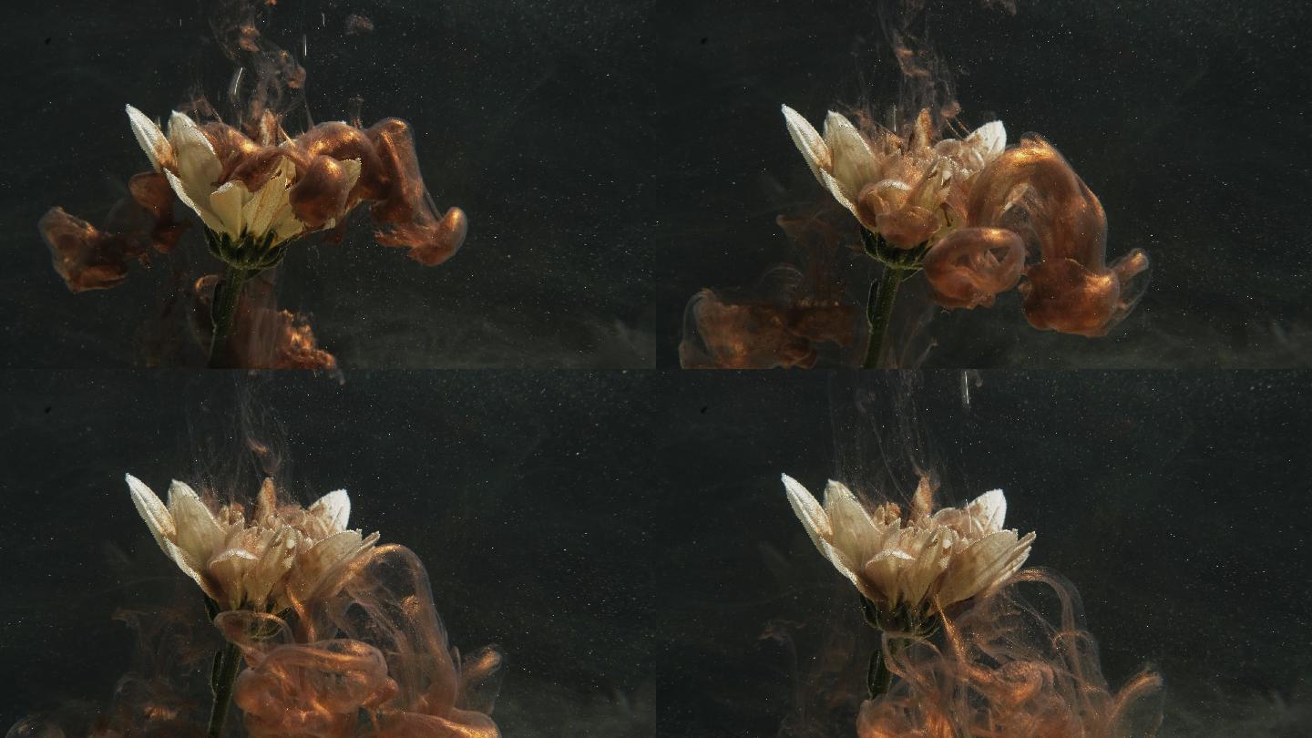 花和棕色油漆水下碰撞颜料