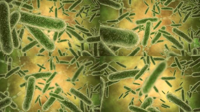 细菌特写3D细菌动画特效细胞分子结构显微