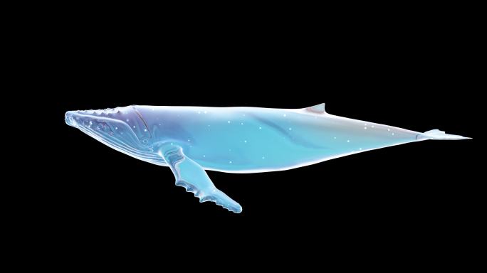 水晶鲸鱼