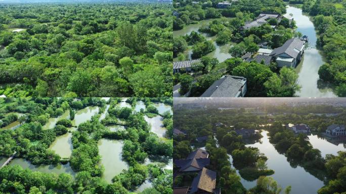 杭州生态西溪湿地航拍