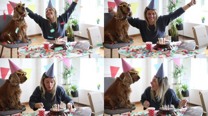 狗的生日派对狗狗生日宠物给狗过生日