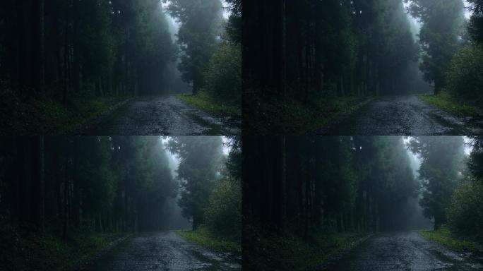 雨中有雾的森林路恐怖惊悚树林山林林间公路