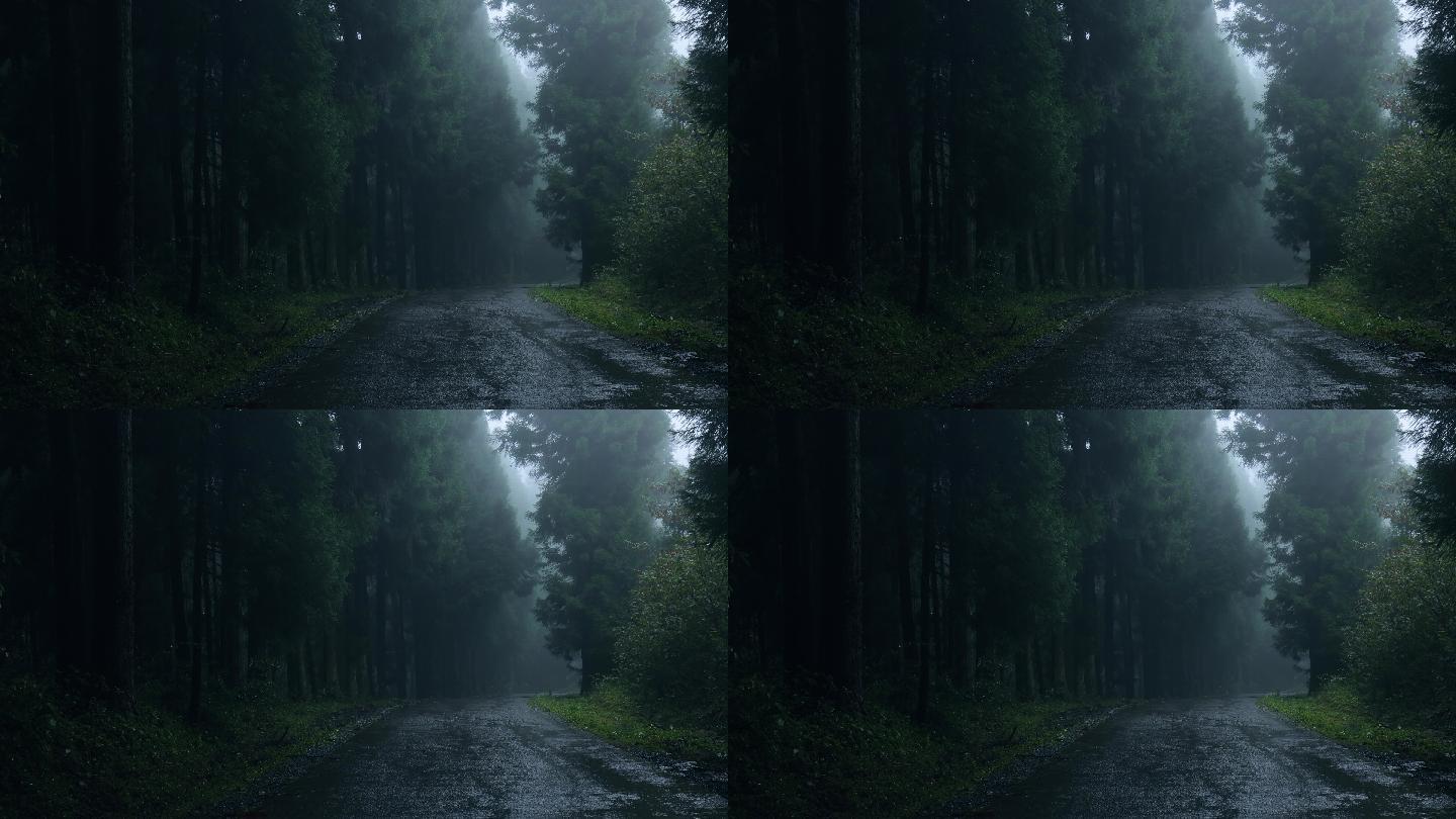 雨中有雾的森林路恐怖惊悚树林山林林间公路