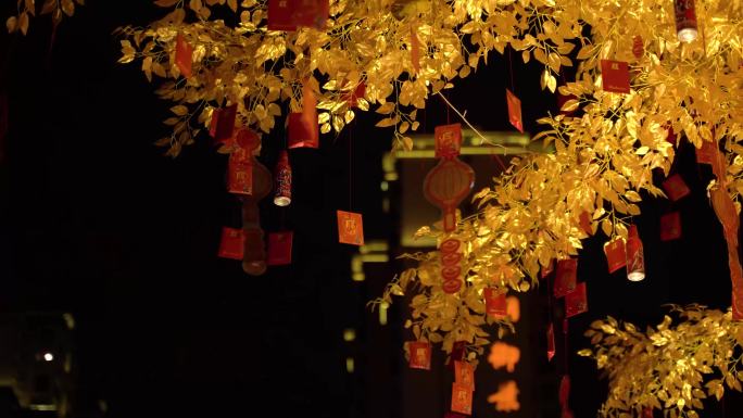 灯笼 新春 春节 喜庆 红包 招财树