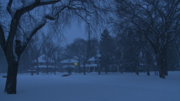 宁静的社区里静静地下着雪