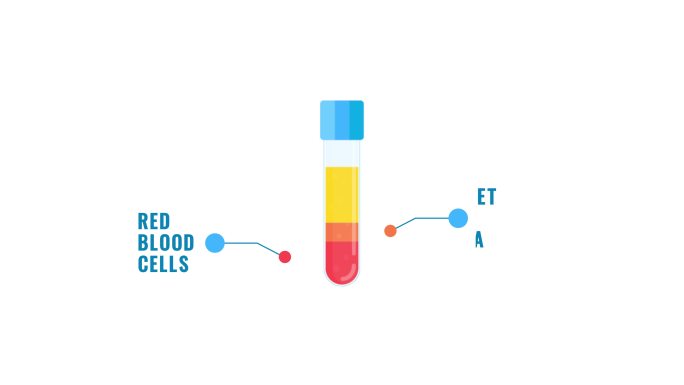 血液分析图