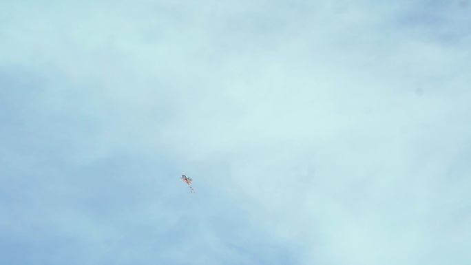 风筝孤独的风筝