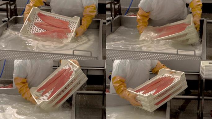 鲑鱼产业鱼片海鲜加工海产品