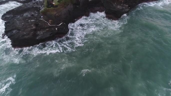 巴厘岛海边海花海浪航拍1080