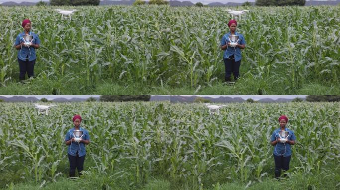 一位女农民用无人机监控玉米作物