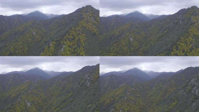 甘肃武威天柱县冰沟河景区