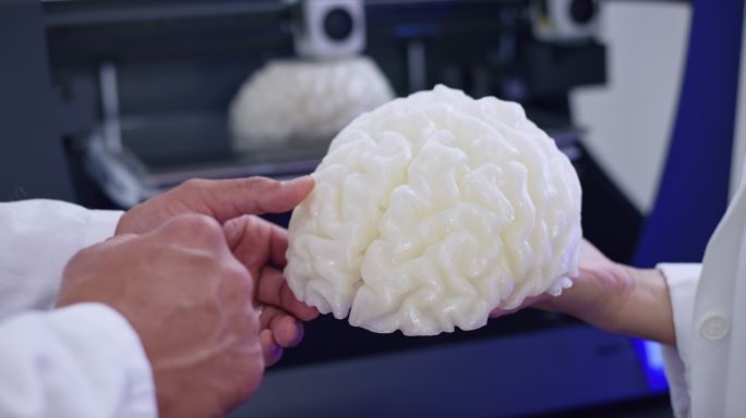 生物医学工程师讨论3D大脑模型