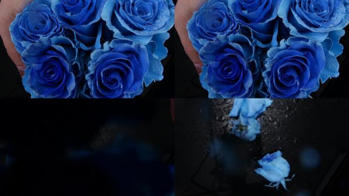 玫瑰 蓝玫瑰 花 掉落 一束花