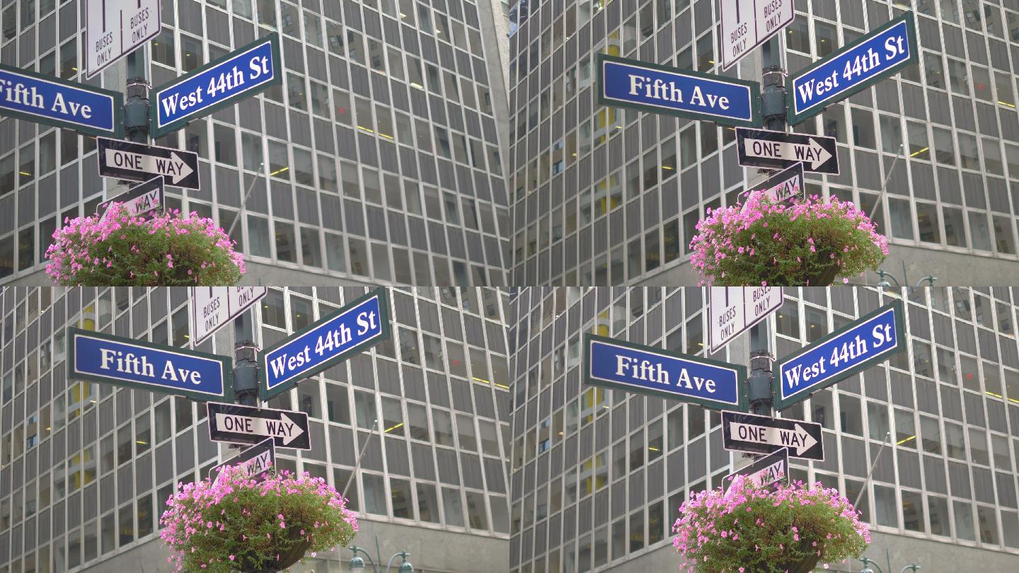 纽约市第五大道导向标路牌指示牌