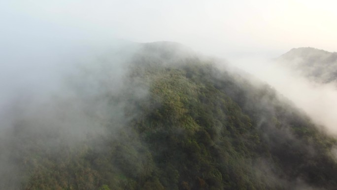 晨雾云海云雾山海山雾峡谷云烟