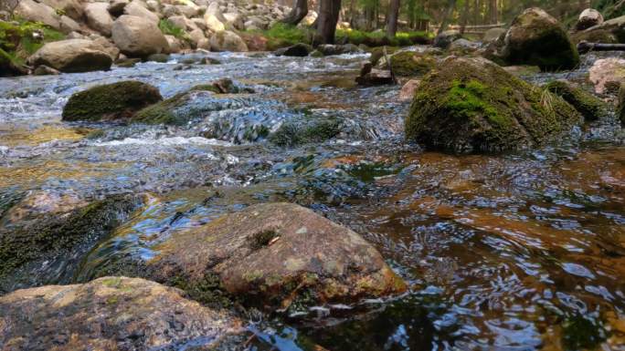 山间溪流溪水小河泉水