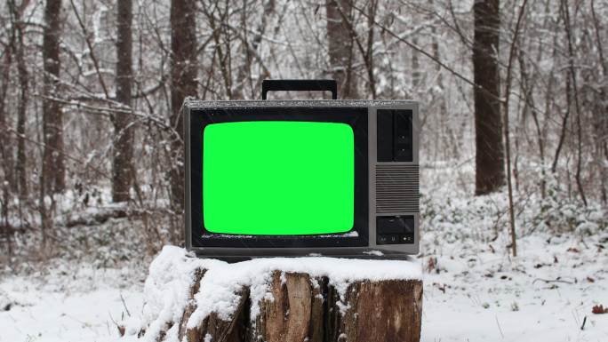白色的老树桩上有绿色屏幕的老式电视