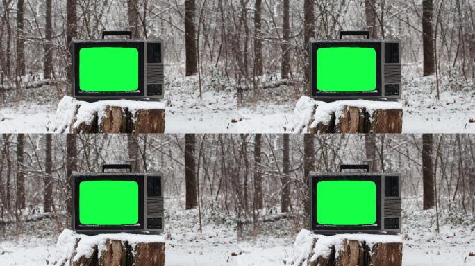 白色的老树桩上有绿色屏幕的老式电视