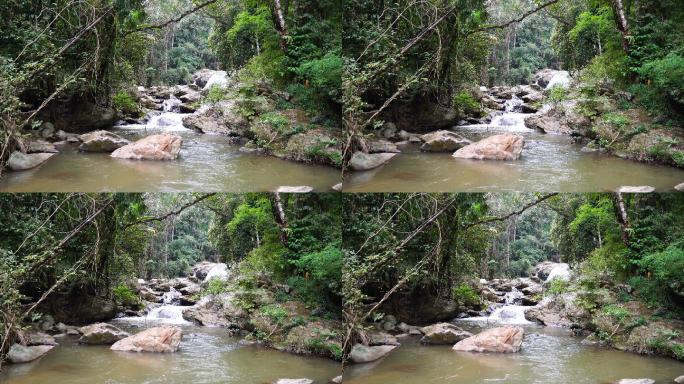 山间溪流原始丛林亚马逊幽静水源