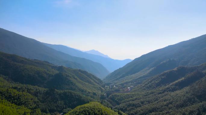 天目山航拍、天目山植物、天目山如画