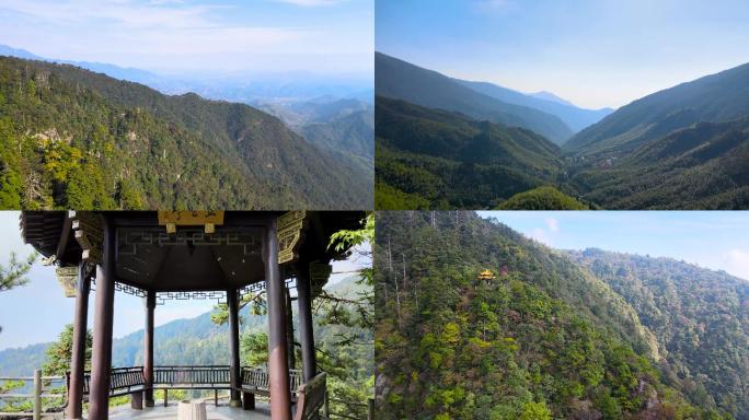 天目山航拍、天目山植物、天目山如画