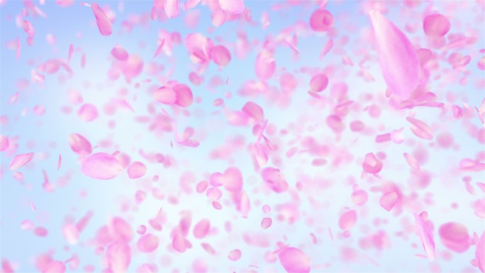粉色玫瑰花瓣飘落场景舞台下落飞舞飘动鲜花