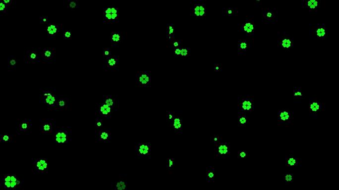 四叶草飘落1-循环