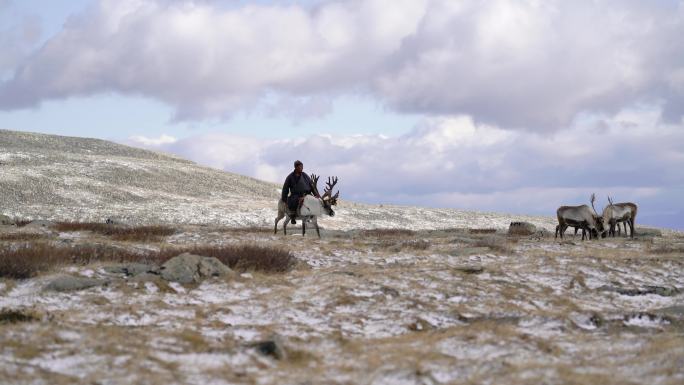 蒙古冬季牧人驯鹿天寒地冻雪地大草原草原风