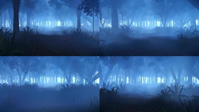 迷雾森林恐怖画面野外树林凌晨户外