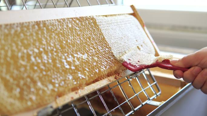 从新鲜蜂蜜中去除蜂蜡
