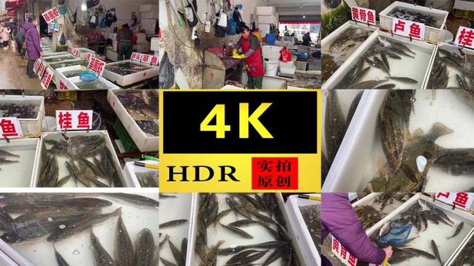 【4K】农贸市场水产品卖鱼