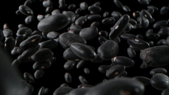 空气中的黑豆种植农业大豆农业粗粮杂粮粮食