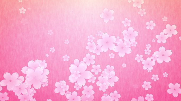 粉色樱花背景花朵飘动上升