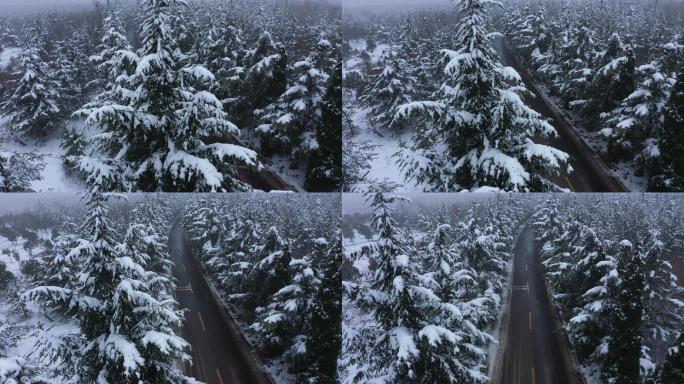 城市道路雪景