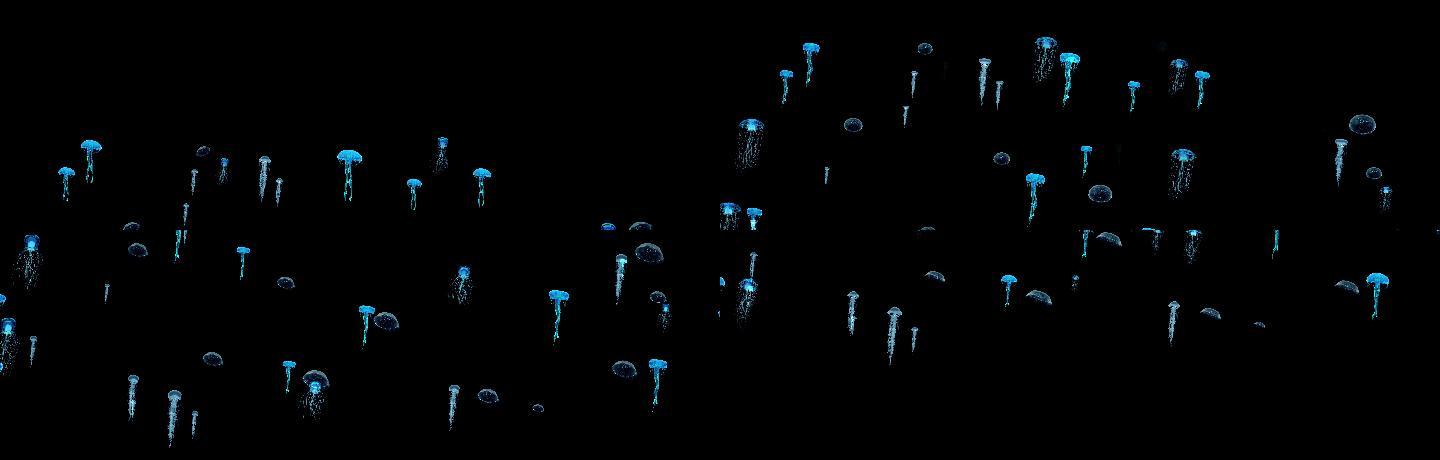 粒子海洋水母