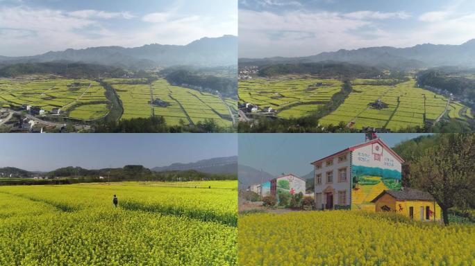 油菜花田乡村旅游航拍