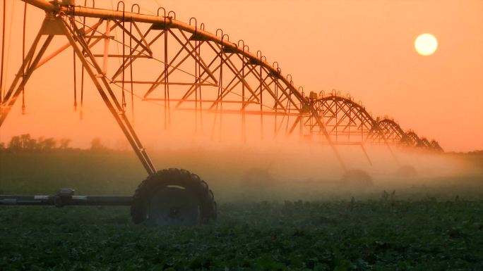 日落时的作物灌溉自动化种植业喷洒农药