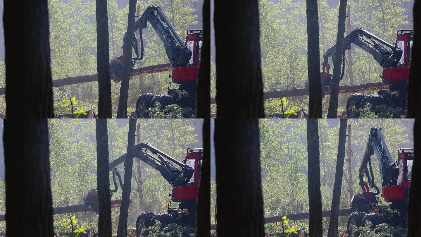 木材采伐机伐树伐木机械化