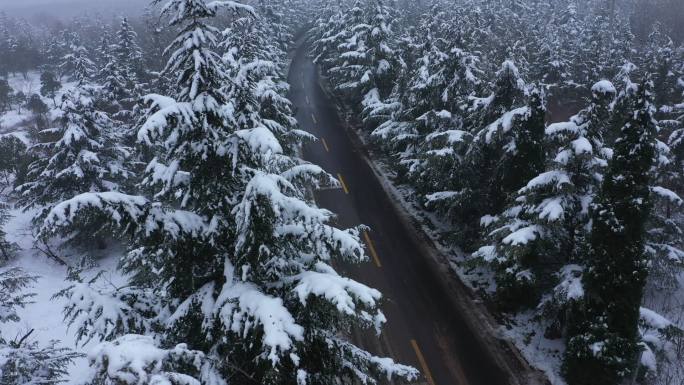 城市道路雪景