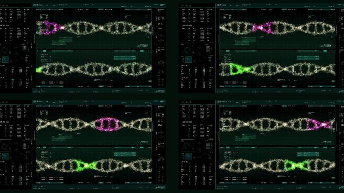 DNA分析接口监视器