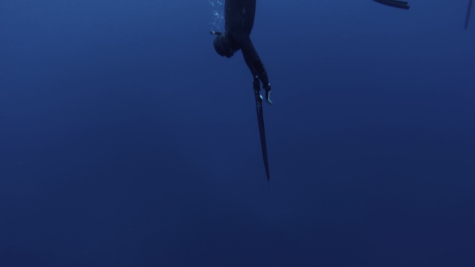 自由潜水员在蓝海捕鱼：地中海探险