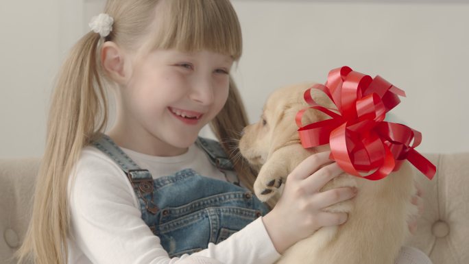 小女孩收到礼物一只小狗