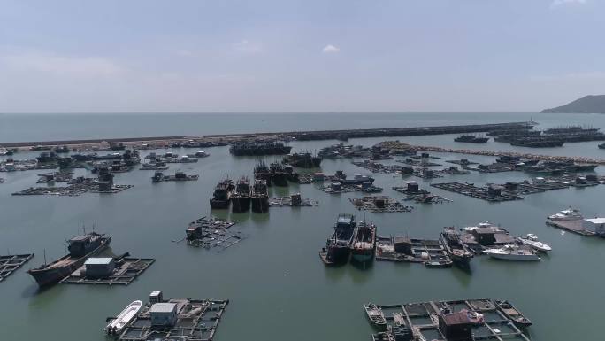 渔船 港湾 大海 南澳岛 海边