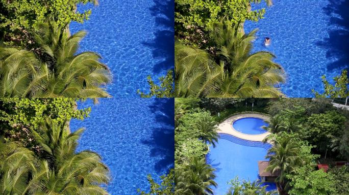 海南旅游度假酒店泳池游泳椰树微风环境优美