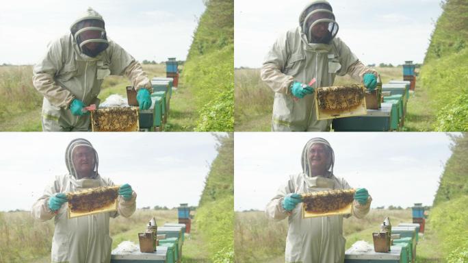 养蜂人蜂农蜂王浆