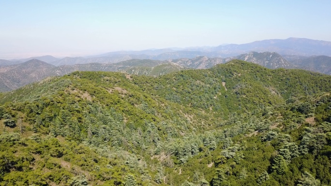 山地景观。大气震撼全景空镜茂密山林