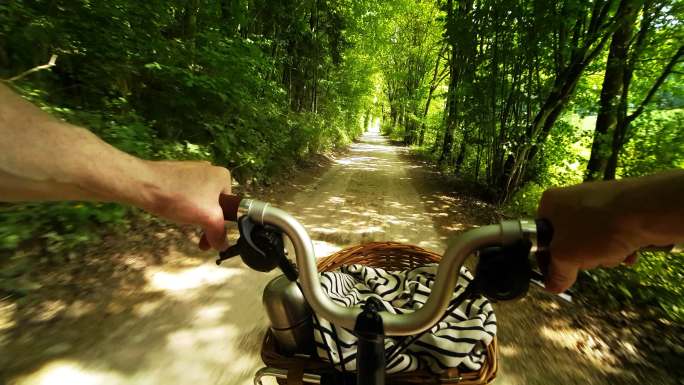 男子骑着折叠自行车穿过阳光明媚的森林