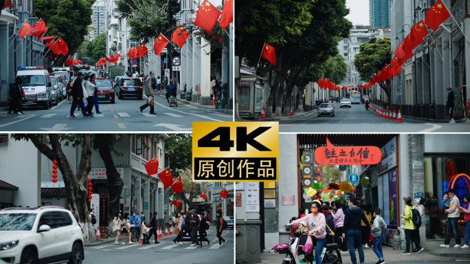 4k春节广州过年新年气氛逛花市人群视频