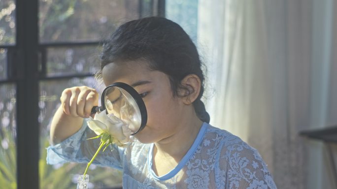 小女孩用放大镜在花丛中寻找昆虫。