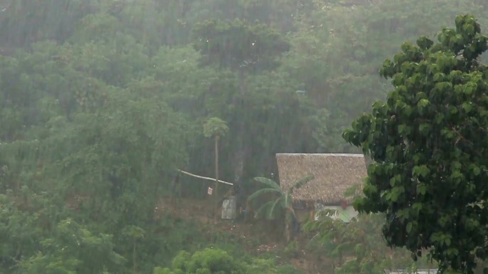 林间小屋广东暴雨